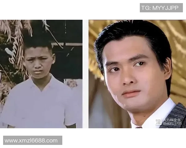 全球足球巨星的璀璨人生与赛场传奇背后的故事揭秘